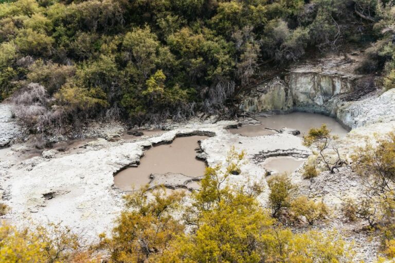 Waiotapu: Thermal Park and Lady Knox Geyser Entry Ticket