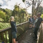 1 waitakere ranges wilderness experience tour from auckland Waitakere Ranges Wilderness Experience Tour From Auckland