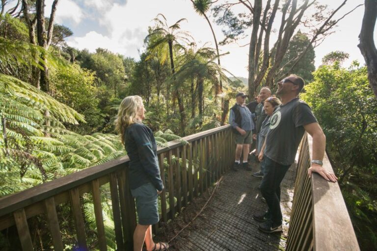 Waitakere Ranges Wilderness Experience Tour From Auckland