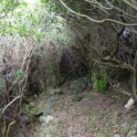 1 walking trails of terceira Walking Trails of Terceira