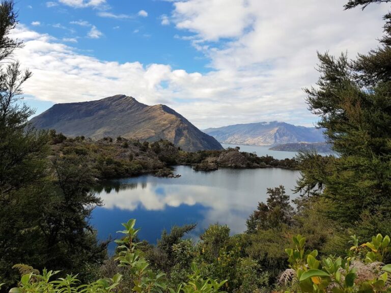 Wanaka: Water Taxi & Mou Waho Island Tour