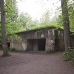 1 warsaw wolfs lair with st lipka and mamerki private guided tour Warsaw: Wolf'S Lair With St. Lipka and Mamerki Private Guided Tour