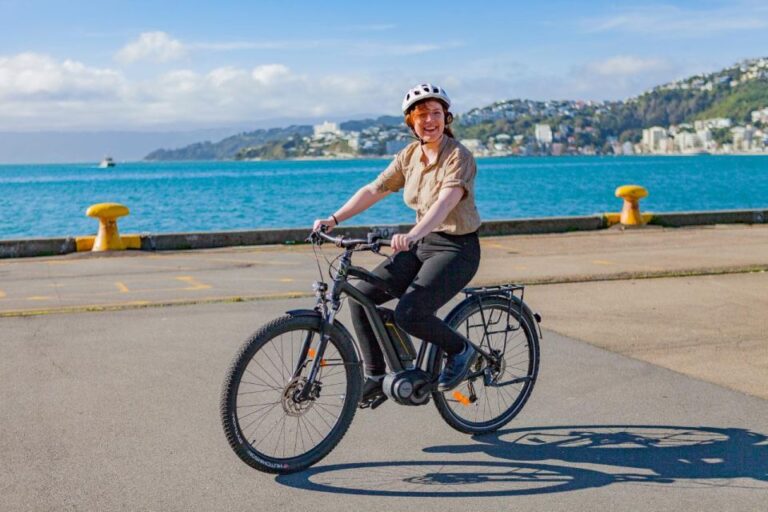 Wellington: 2-Hour Guided Bike Tour