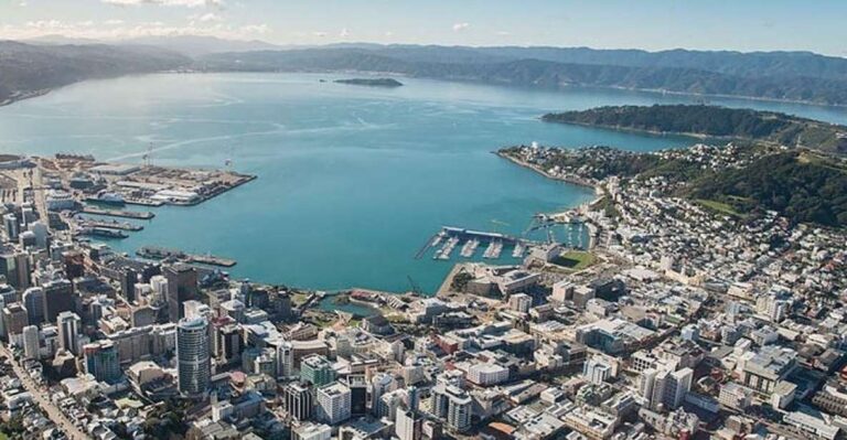 Wellington: 9-Minute Scenic Flight Ride