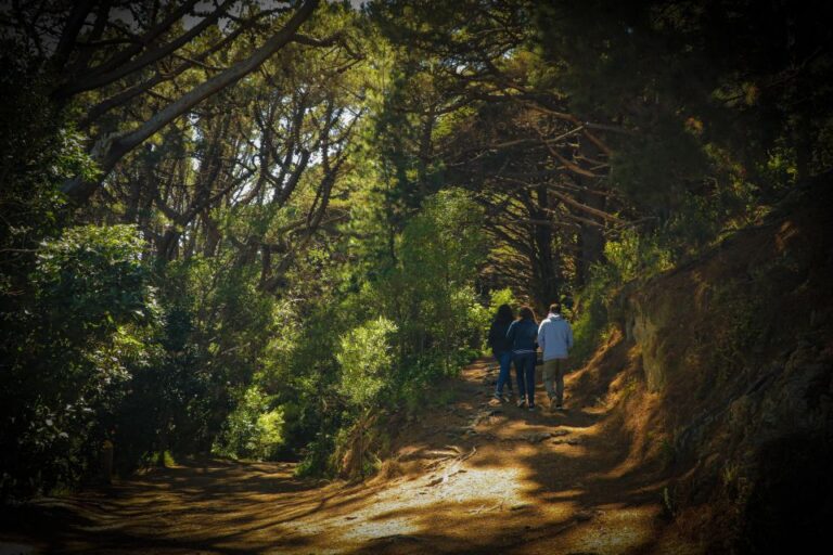 Wellington: Lord of the Rings Tour With Weta Workshop