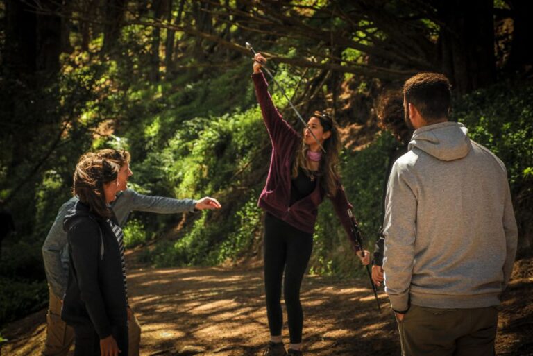 Wellington: Lord of the Rings Tour With Weta Workshop