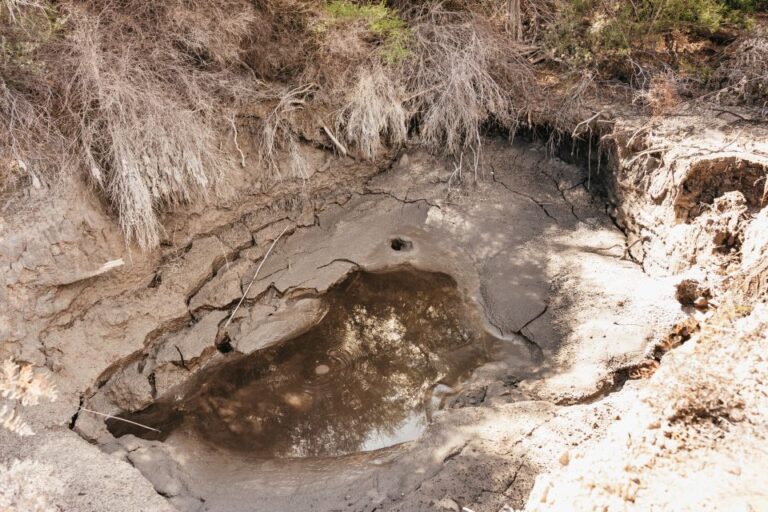 Whakarewarewa: Entrance to the Geothermal Trails