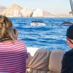 1 whale watching in cabo san lucas on board our luxury trimaran Whale Watching in Cabo San Lucas on Board Our Luxury Trimaran!