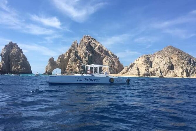 Whale Watching Tour in Los Cabos - Customer Reviews Analysis