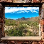 1 when nature calls exploring the sonoran desert When Nature Calls - Exploring the Sonoran Desert