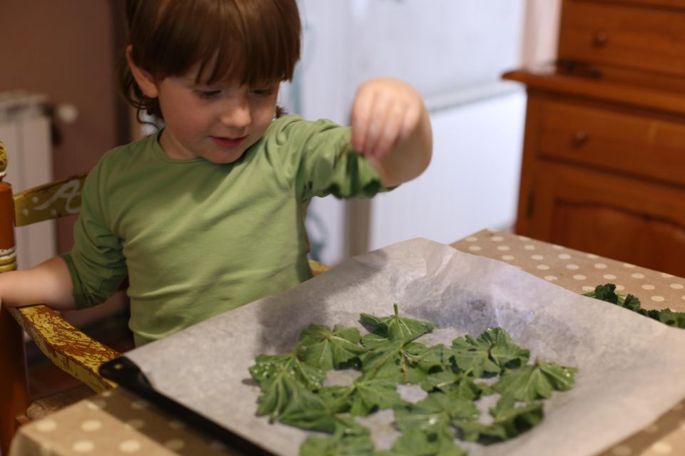 1 wild experience discover cook eat the local wild flora Wild Experience: Discover, Cook & Eat the Local Wild Flora