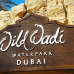1 wild wadi water theme park with ticket transfers Wild Wadi Water Theme Park With Ticket & Transfers