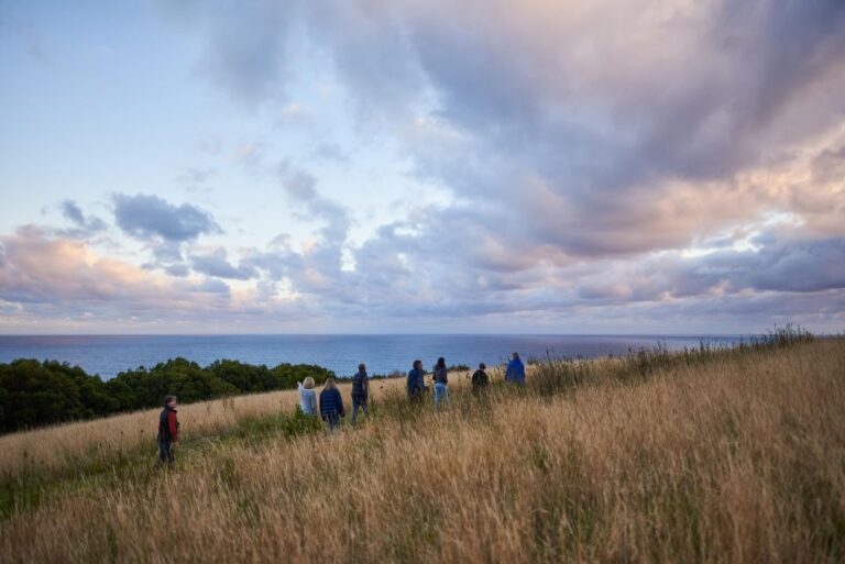 Wildlife Wonders: Great Ocean Road Dawn Discovery Tour