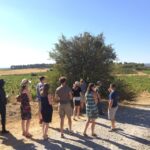 1 wine tour cathar country Wine Tour Cathar Country