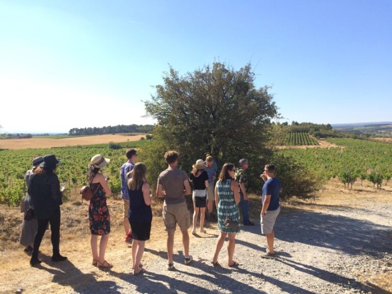 Wine Tour Cathar Country