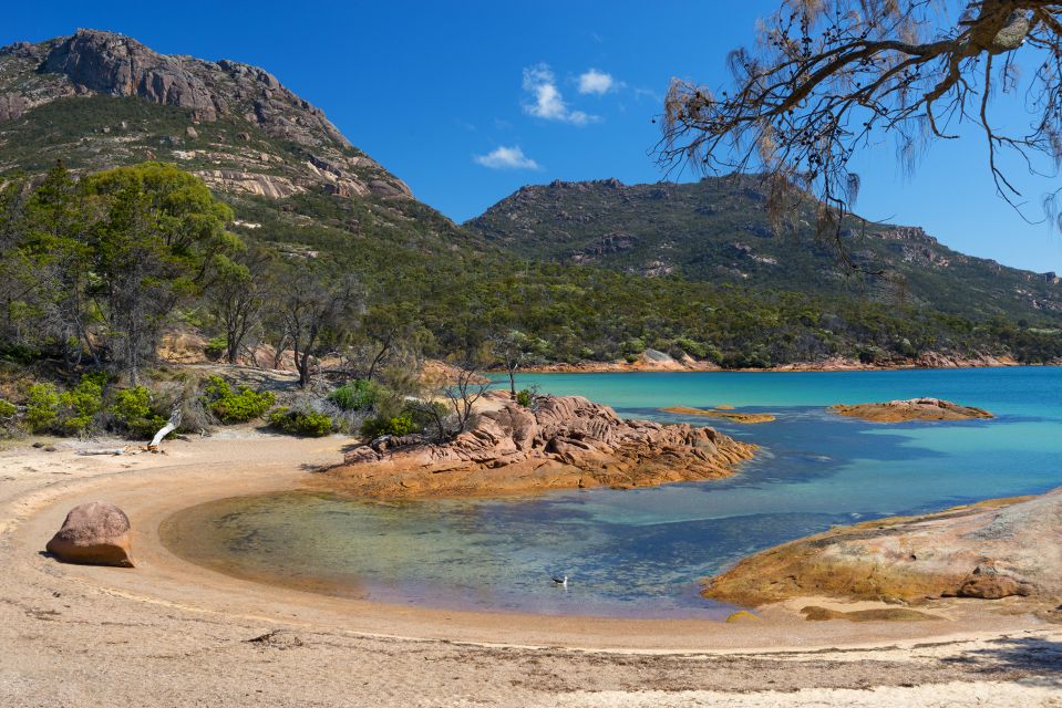 1 wineglass bay freycinet national park day trip from hobart Wineglass Bay & Freycinet National Park Day Trip From Hobart