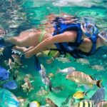 1 xel ha all inclusive full day package with transfers cancun Xel-Ha All-Inclusive Full-Day Package With Transfers - Cancun