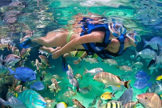 1 xel ha all inclusive full day package with transfers cancun Xel-Ha All-Inclusive Full-Day Package With Transfers - Cancun