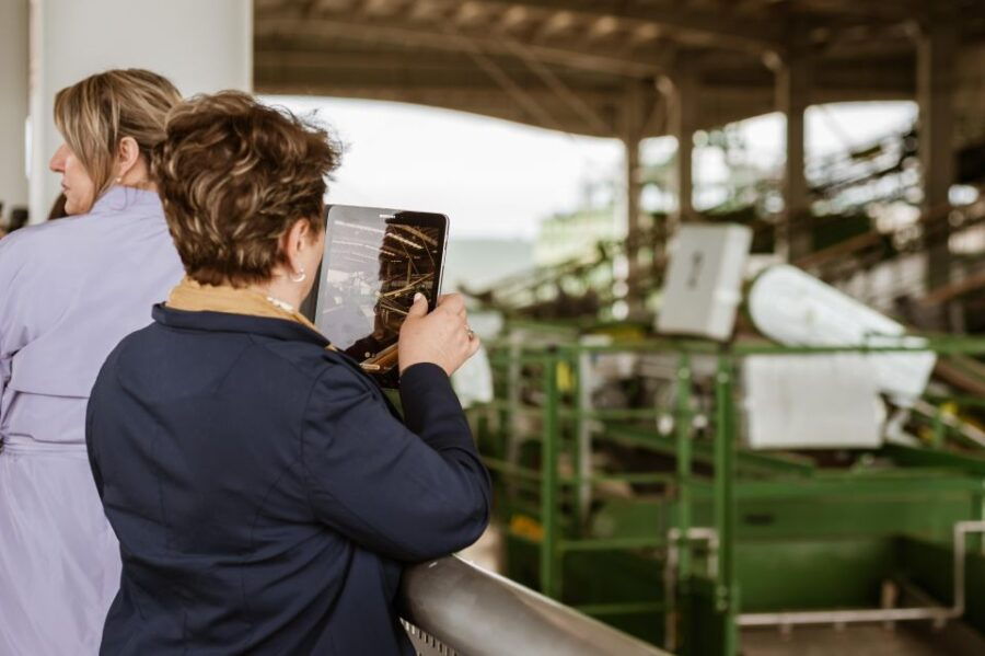 XXI Century Olive Oil Mill Tour