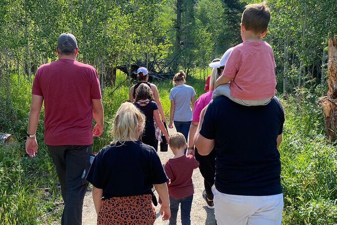 Yellowstone Full-Day Upper Loop With Wildlife Adventure W/Lunch - Wildlife Viewing Opportunities