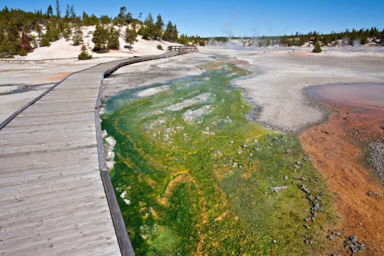 Yellowstone National Park: Old Faithful Self-Guided Tour