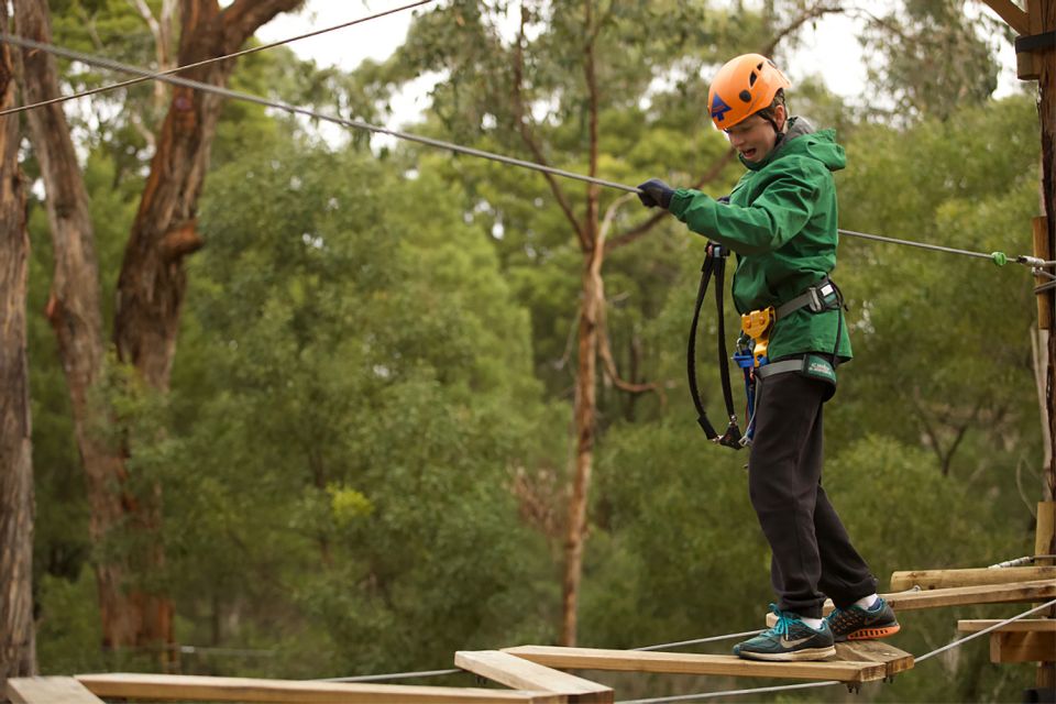 1 yeodene tree ropes courses Yeodene: Tree Ropes Courses