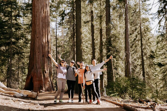 1 yosemite national park giant sequoias 2 day semi guided tour Yosemite National Park & Giant Sequoias 2-Day Semi-Guided Tour