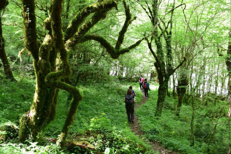 Zagori: Vikos Gorge Full-Day Guided Hike