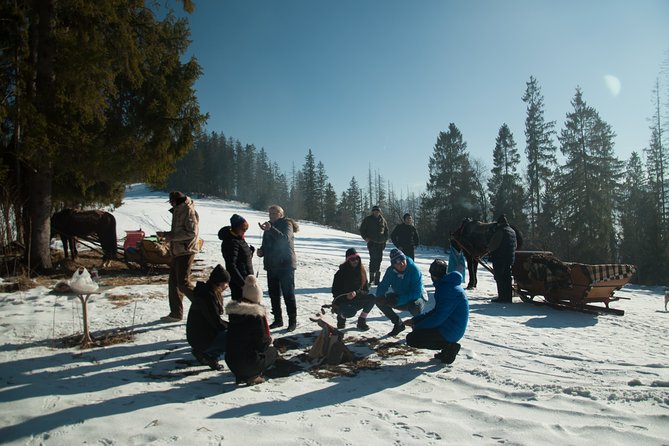 Zakopane and Horse Sleigh Ride in the Countryside, Private Tour From Krakow