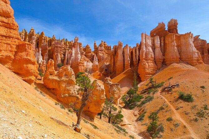 Zion and Bryce Canyon National Park Day Tour From Las Vegas