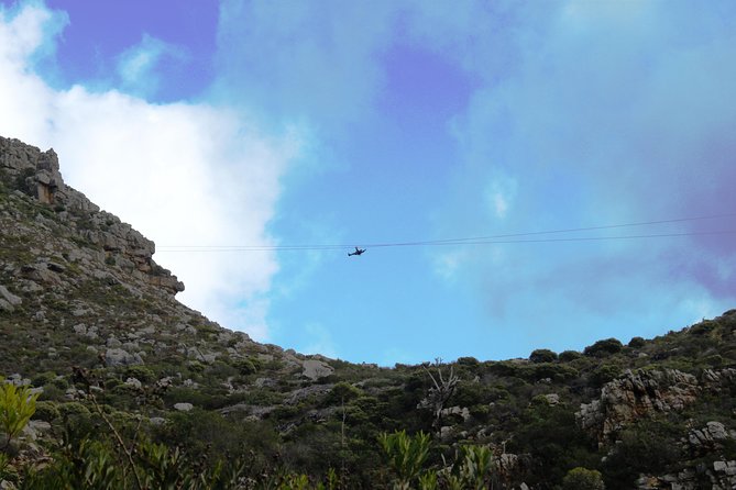 Zip-lining in Cape Town – Based at the Foot of the Table Mountain Reserve