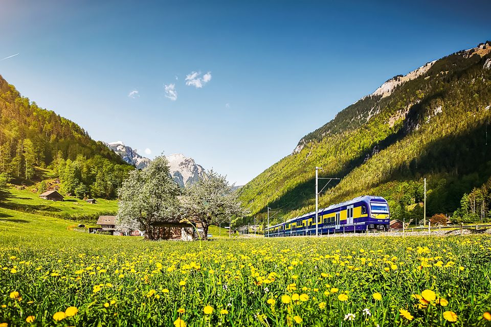 Zurich: Day Trip to Grindelwald & Interlaken by Bus & Train - Review Summary