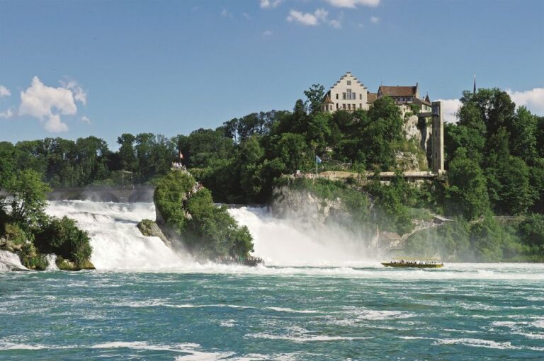 Zurich: Rhine Falls and Best of Zurich City Full-Day Tour