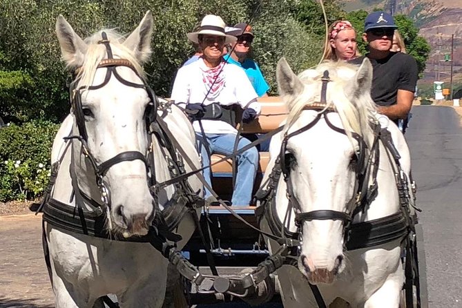 1h30m – Wine Tasting Carriage Trail - Key Points