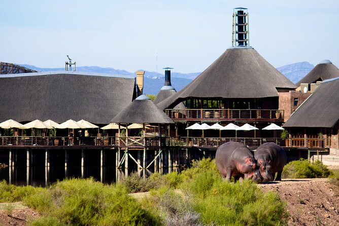 2-Day Buffelsdrift Game Lodge Safari With Cango Caves Shared Tour - Key Points