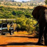2 day private pilanesberg guided tour 2 Day Private Pilanesberg Guided Tour