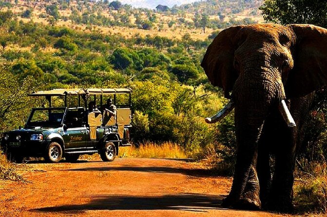 2 Day Private Pilanesberg Guided Tour - Key Points