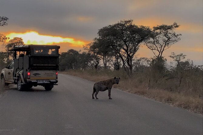 2-Day Safari Tour in Kruger National Park - Key Points