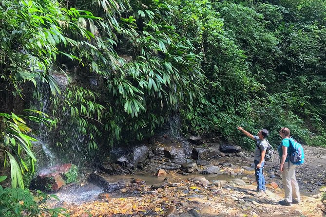 2-Day Sierra Nevada and Chorreron Waterfall Walking Tour  – Caribbean Coast