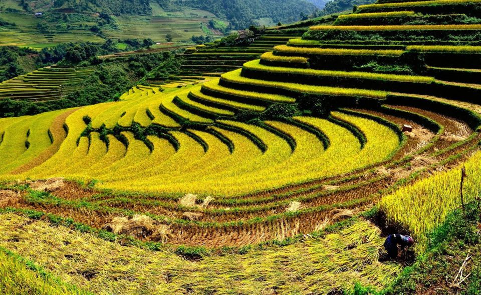 2-Day Trekking Tour in Sa Pa With Local Stay & VIP Cabin Bus - Key Points