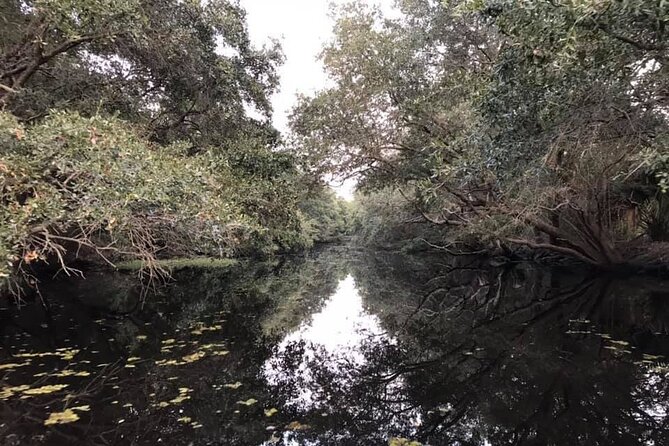 2 Hours Boat Tour in Louisiana Bayous Near New Orleans - Key Points