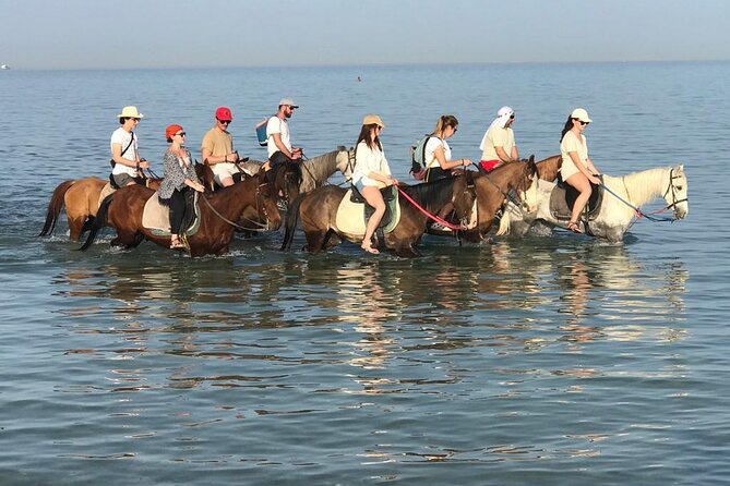 2 Hours Horse Riding on the Sea and Desert- Hurghada - Key Points