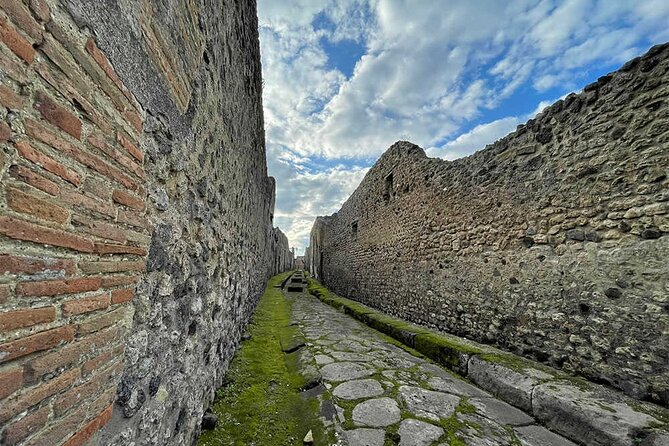 2 Hours Private Tour of Pompeii for Journey Through Time - Tour Highlights