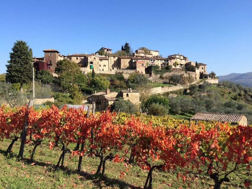 2 Wineries Chianti Wine Tasting Private Tour - Key Points