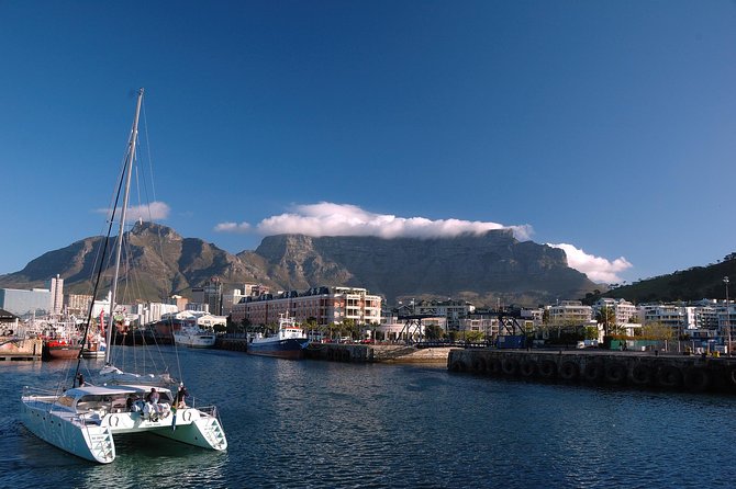 1 Day Explore Cape Town Like a Local With Private Guided Transfer - Local Insights and Experiences