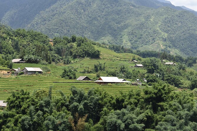 1-Day Private Trekking in Sapa Through Terraces Rice Fields - Captivating Rice Terraces Views