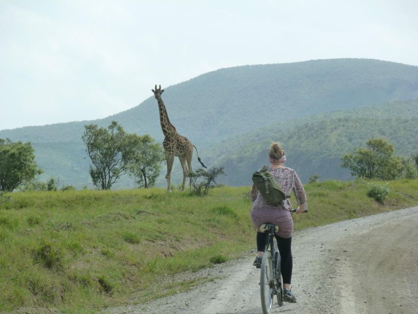 1 Day Trip to Hells Gate Park and Optional Lake Naivasha - Highlights of the Trip