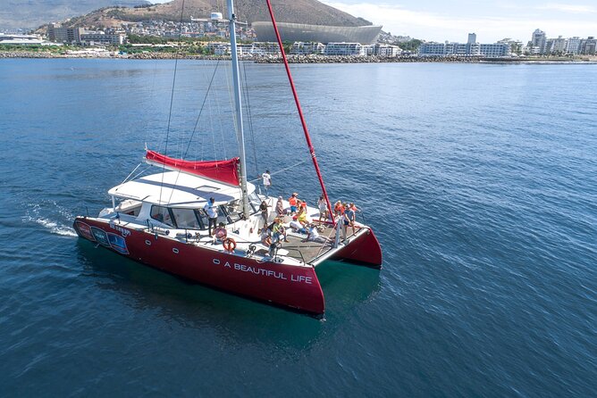 1- Hour Catamaran Cruise Cape Town - Highlights of the Catamaran Experience