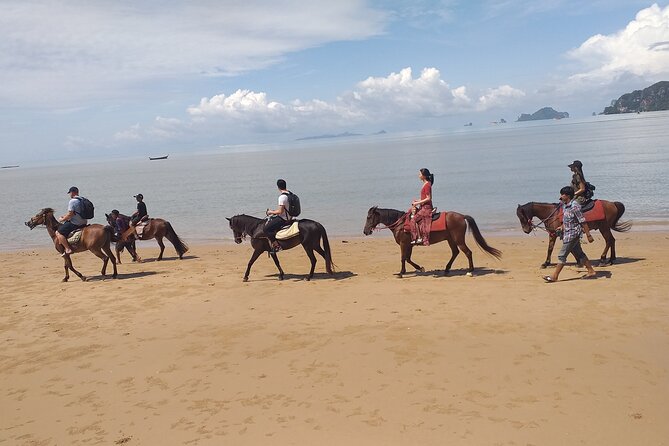 1 Hour Horse Riding Tour On The Beach Krabi - Booking Information