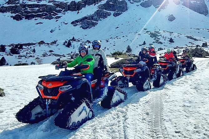 1 Hour Snowmobile Tour in Formigal and Panticosa - Traveler Limitations and Restrictions